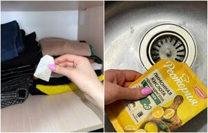 10 приёмов от запахов в квартире