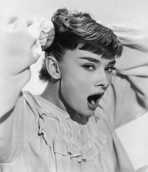  The special edition: Audrey Hepburn 