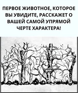 Всё зависит от того, кого вы заметили первым!