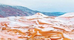 В пустыне Сахара впервые за почти 40 лет выпал снег  