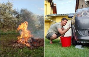 Запреты для дачников, которые стоит освежить в памяти, чтобы сезон огорода прошёл без сюрпризов