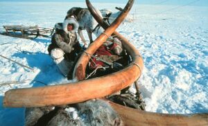 Исследование самой холодной точки планеты