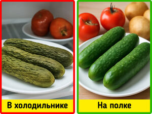 Продукты, которые мы всегда хранили неправильно