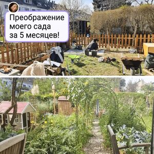 Сады, глядя на которые хочется срочно взять лопату и сделать так же