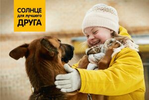 «Солнце для лучшего друга»: как собаки и молодые люди с синдромом Дауна помогают друг другу