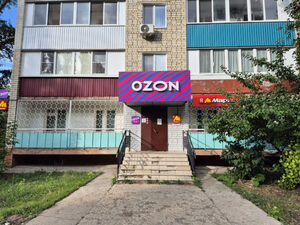 Давление на Ozon и Wildberries нарастает. В России назревает война маркетплейсов 