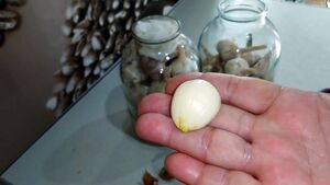 Лучший способ хранения чеснока