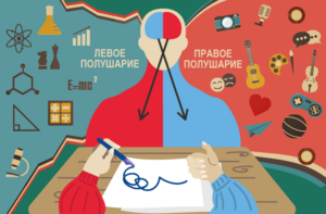 Левши и правши: любопытные факты и отличия