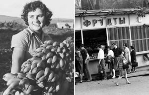 История бананов в СССР: как появились экзотические фрукты в стране социализма