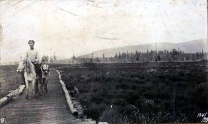 1912-1913. Управление водных путей Амурского бассейна (У. В. П. А. Б.). Часть 4