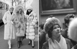 Лягушки и берёзовые палки: с помощью каких подручных средств в древнерусские времена хранили продукт