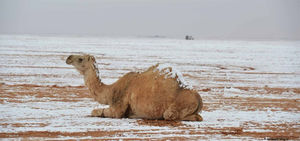 В пустыне Сахара произошла природная аномалия