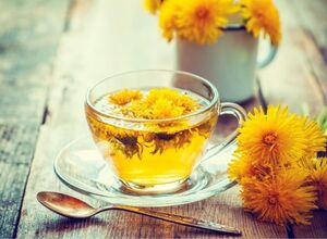 Как заваривать чай из одуванчиков, который помогает при проблемах со здоровьем
