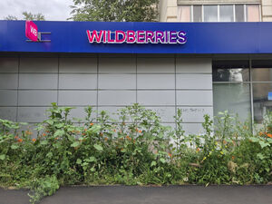 Новая атака на Ozon и Wildberries. Сенатор предложил запретить ПВЗ в многоквартирных домах
