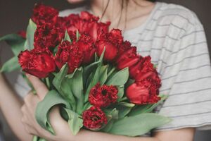 Цветочные извинения, или как лучше сказать «Прости» с помощью букета