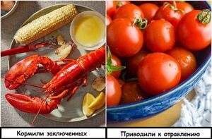 9 продуктов, которые раньше вызывали у людей страх, а сейчас считаются деликатесом