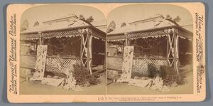 1899-1900. Вторая Англо-Бурская война в стереопарах