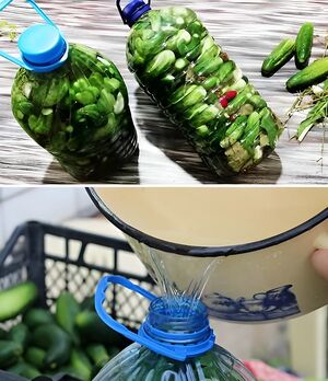 Огурцы как из бочки в пластиковых бутылках – стоят не один год