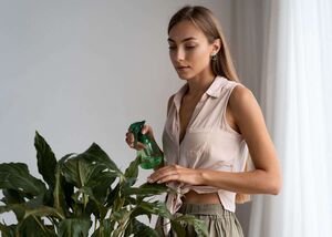 Комнатные растения, которые крадут энергию и кислород