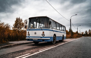 5 знаковых автобусов времен Советского Союза, которые знал каждый гражданин