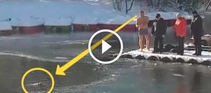 Как бесстрашный мужчина спас собаку, тонущую в ледяной проруби