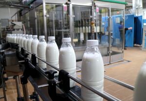 Как безлактозное молоко обрело признание и какими свойствами оно обладает