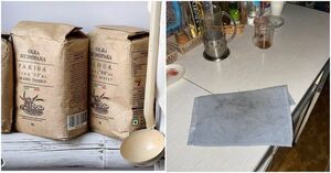 5 кухонных вещей, которые мы чаще всего храним неправильно