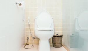 Туалет, который может стать стильной частью квартиры