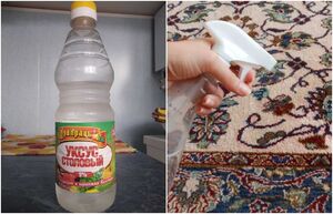 Секреты, которые мудрые хозяйки возьмут на карандаш