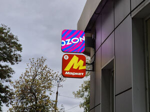 Банкиры хотят запретить OZON и Wildberries делать скидки при оплате собственными картами