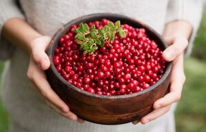 Рецепты с лучшими ягодами ноября