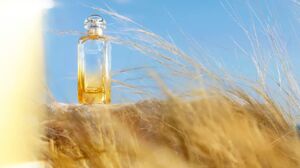 Лучшие сезонные ароматы с фисташкой