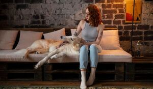 Как сделать дом удобным и для вас, и для вашего питомца