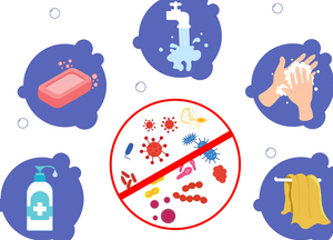 Сколько живут микробы вокруг нас и как защитить себя