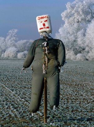 Пугала из сельской местности Англии