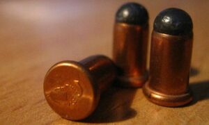 Зачем нужны пули из дерева и резины