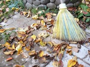 Подлинные истории о воскрешении из мёртвых