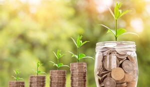 Как привлечь в дом достаток и благополучие