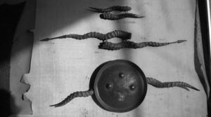 Самые опасные виды древнего оружия