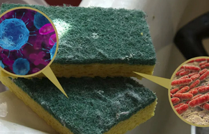 5 бытовых предметов, на которых скапливается больше всего бактерий