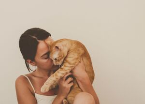 Учёные выяснили, каких людей на самом деле любят кошки