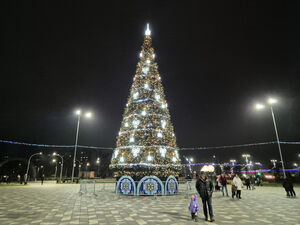 Новогодние елки в конце ноября