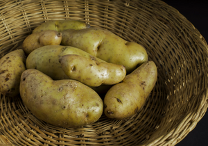 ​Почему привычные овощи могут быть опасны: что нужно знать о паслёновых