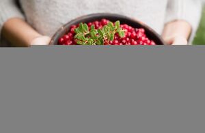 Чем полезна брусника?