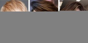 Как выбрать лучший боб по форме лица, чтобы освежить образ?