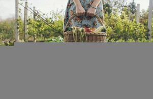 Что подарить дачнику на Новый год