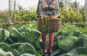 Что подарить дачнику на Новый год