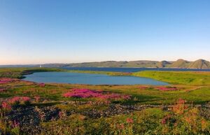 Уникальное озеро-коммуналка на севере России, где живут одновременно морские и пресноводные обитатели