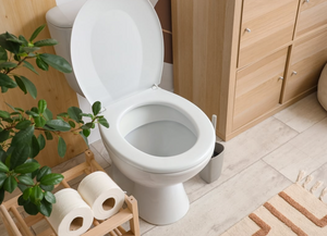 Очищающие пластинки для унитаза своими руками