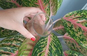 Необычные советы на каждый день